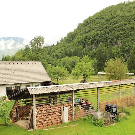 Apartments Villa Dov Bohinji-tó Kültér fotó