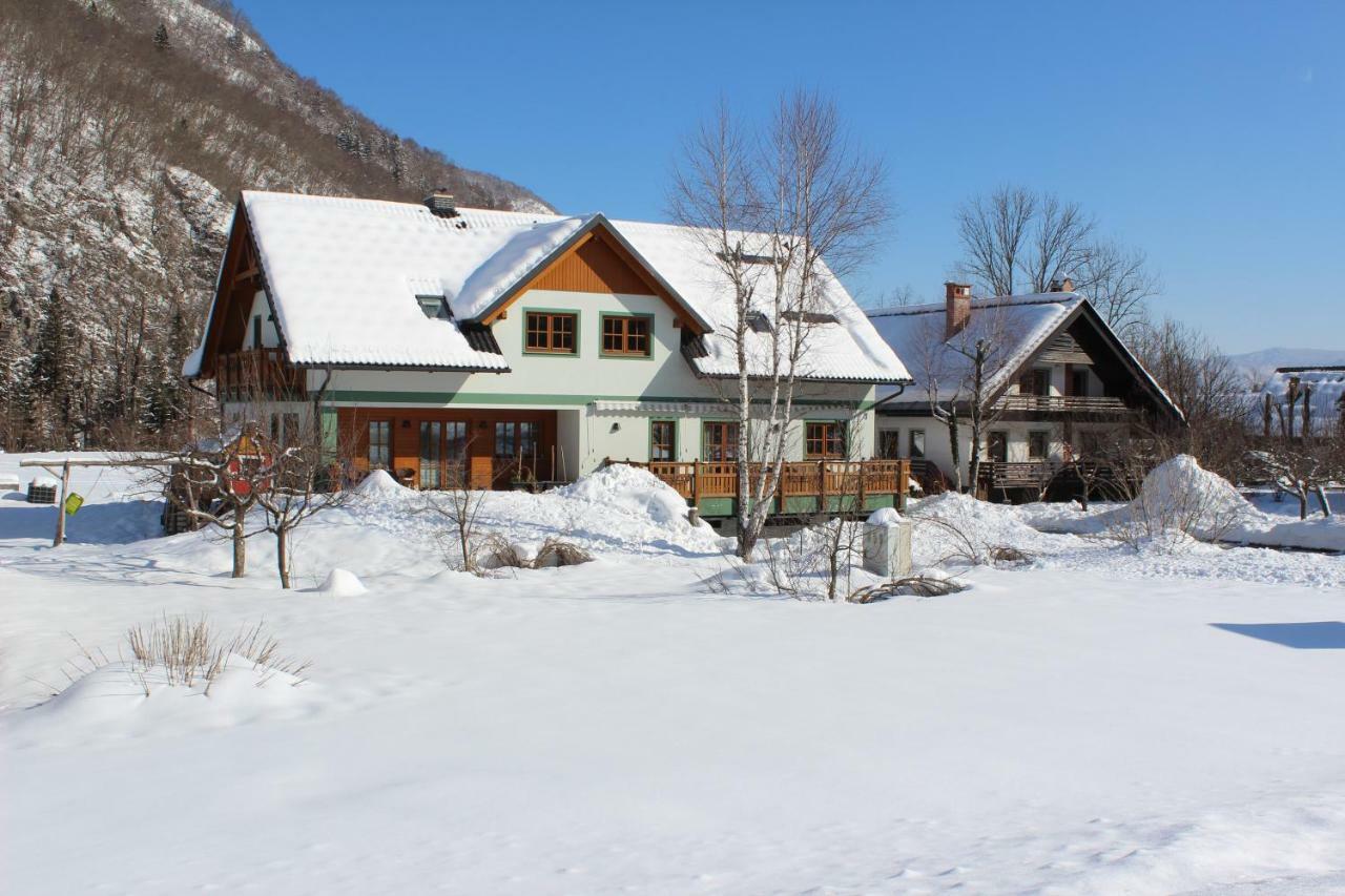 Apartments Villa Dov Bohinji-tó Kültér fotó