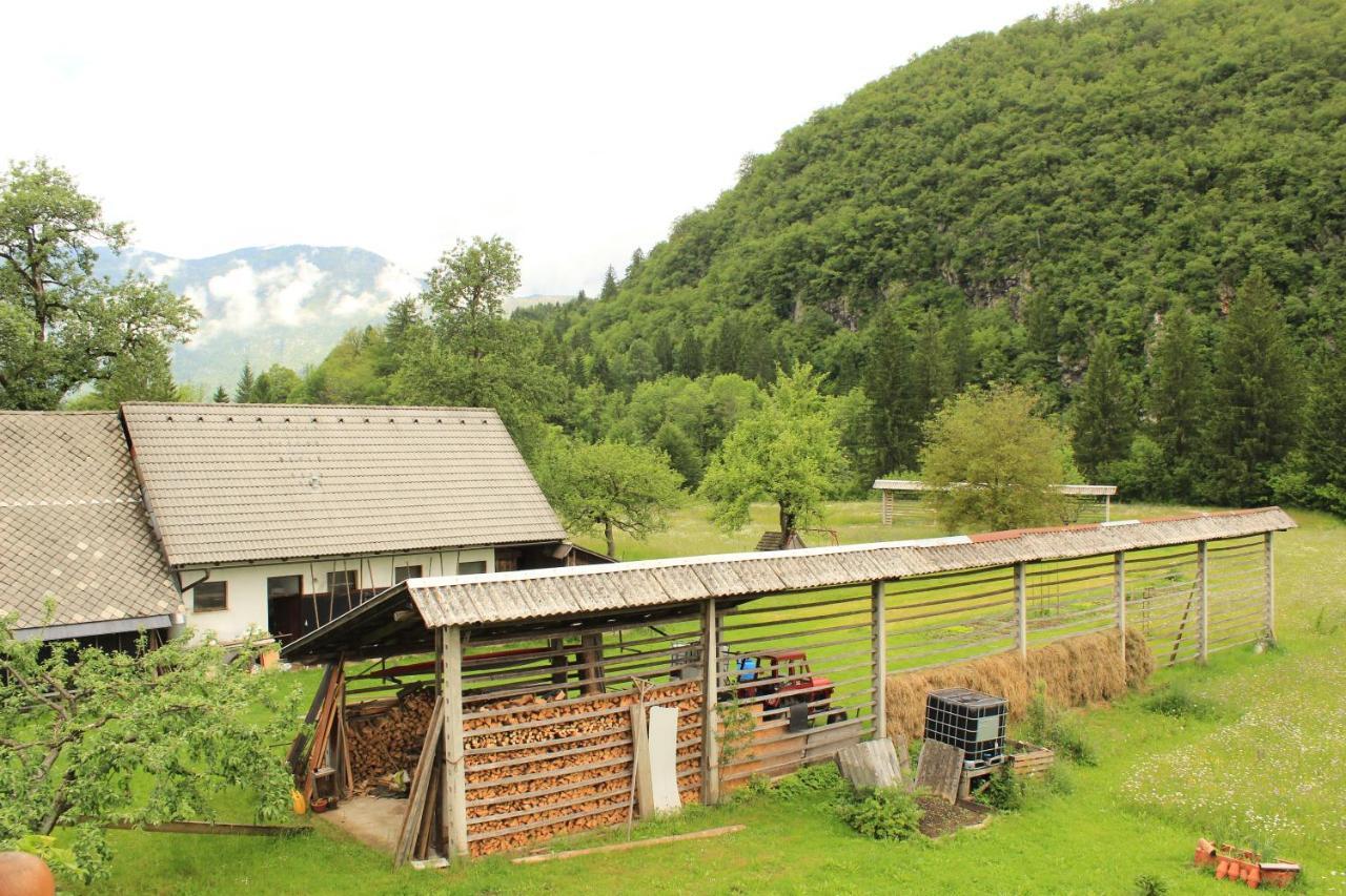 Apartments Villa Dov Bohinji-tó Kültér fotó